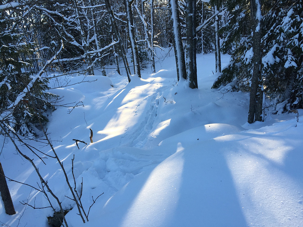 Olaåsen mot sørvest