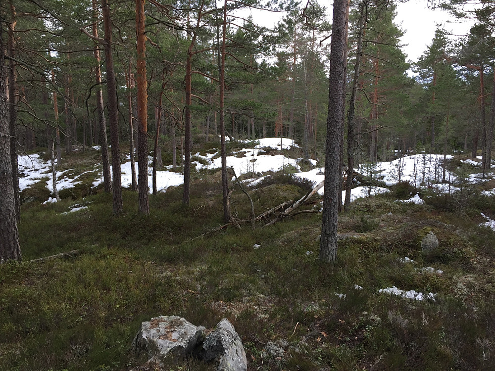 Tolvbjørnrudåsen 170m
