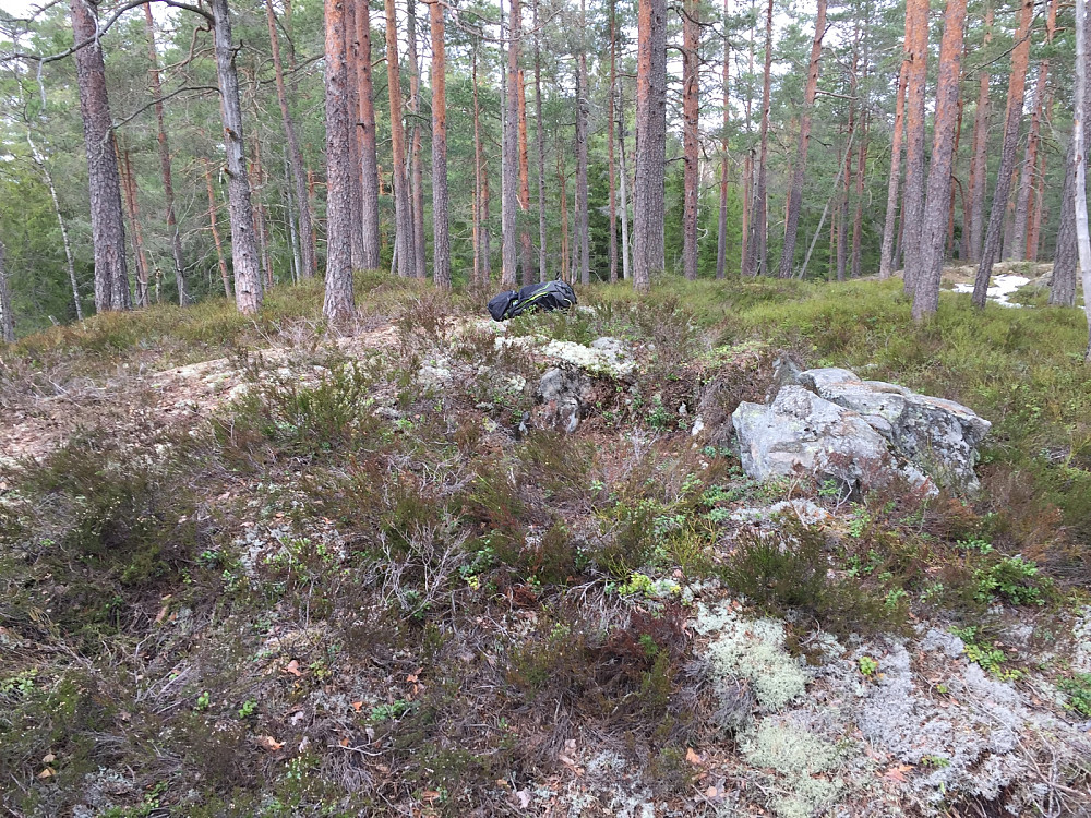 Tolvbjørnrudåsen 170 m