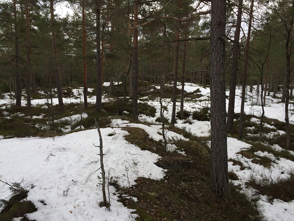 Tolvbrjønrudåsen syd 171 m sydover 