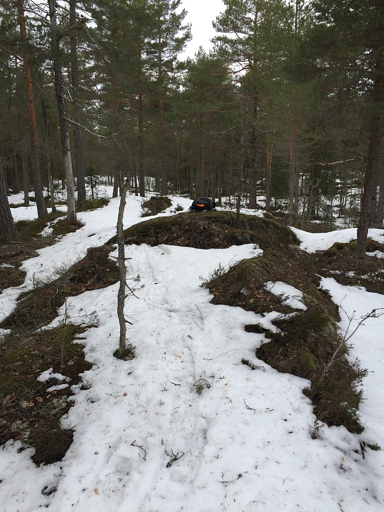 Tolvbjørnrudåsen syd 171 m nordligste punkt