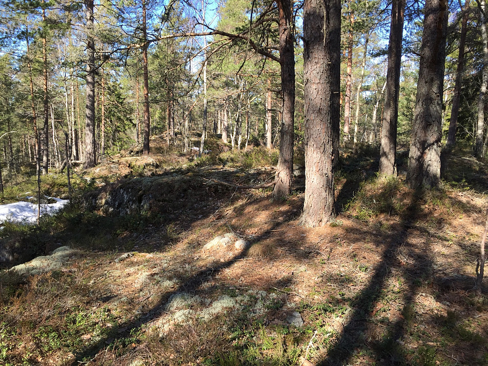 Gaupefjell