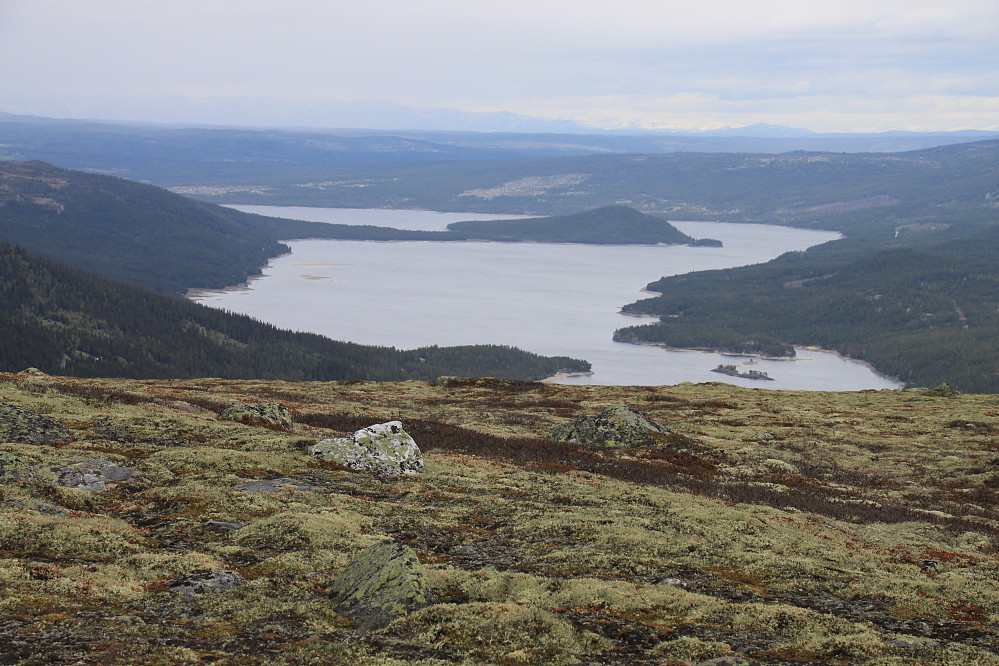 Utsikt over Tunhodfjorden