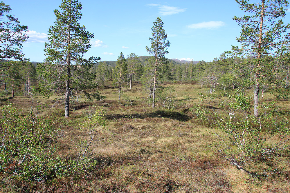 Kråkfjellet sees langt borte