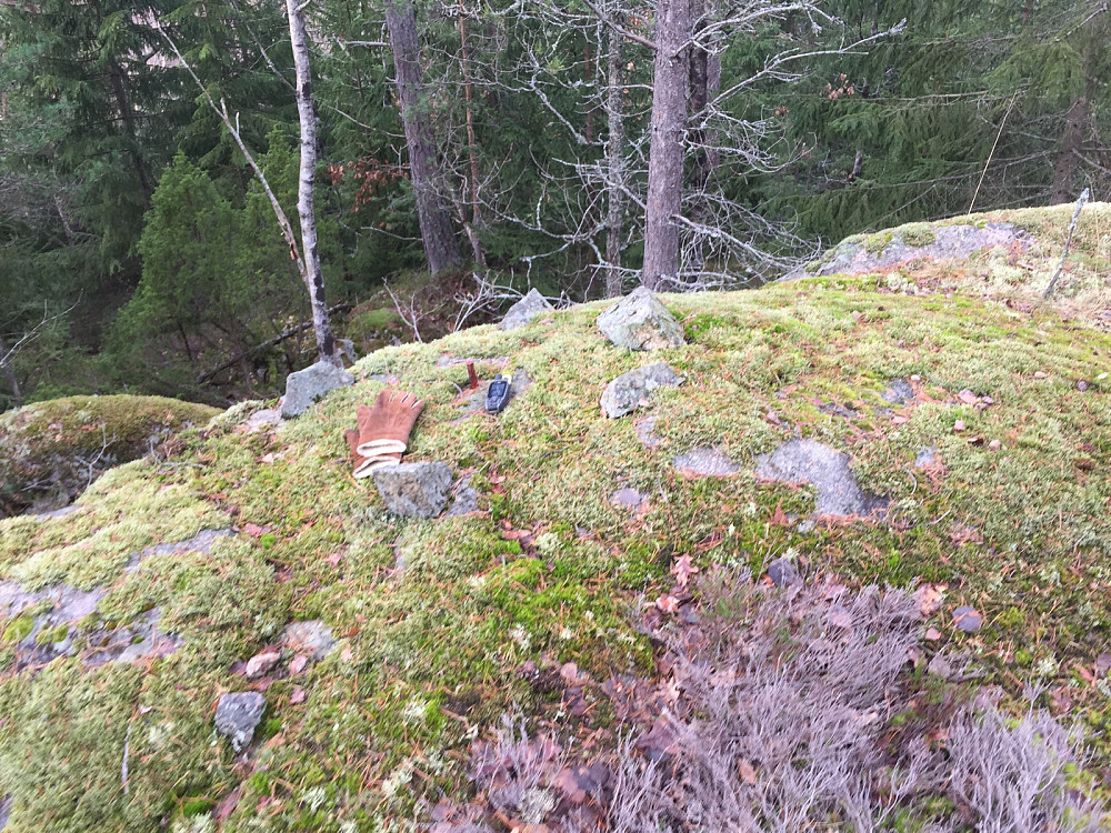 Vest for Digerud