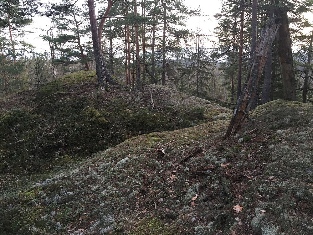 Elgåsen sør