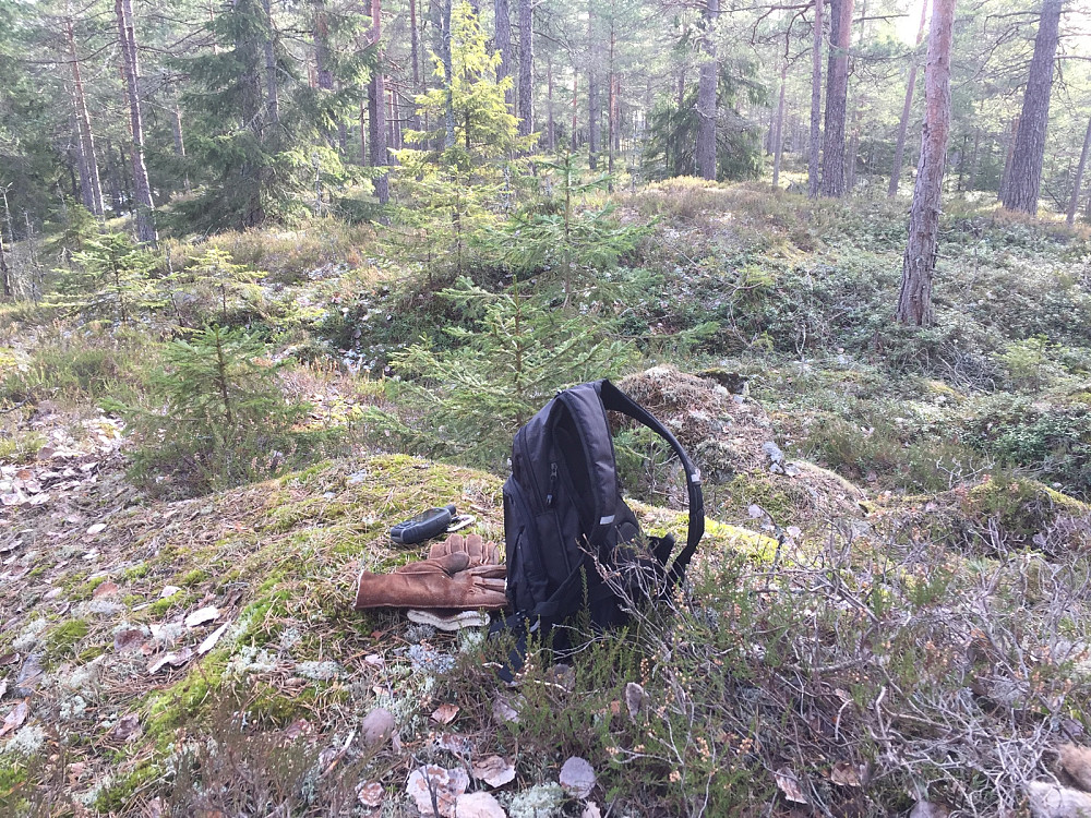 Knappelsåsen
