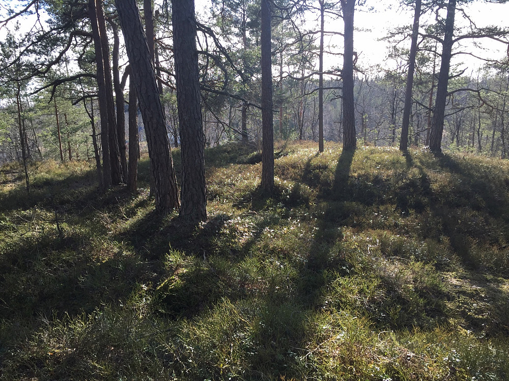 Nord for Slåttebråten