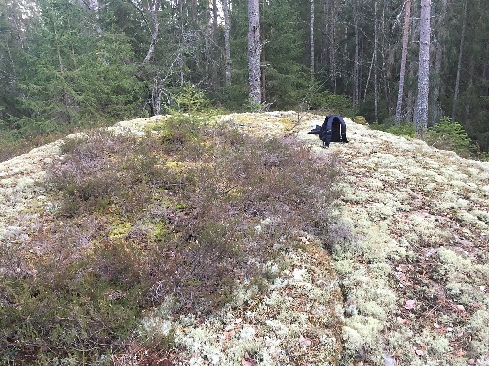 Øst for nedre Garder