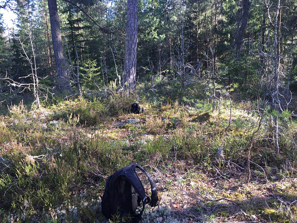 Vest for Knardal
