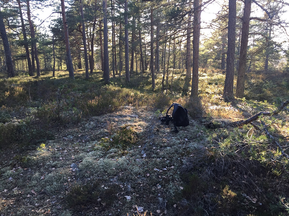 Sørvest for Bøler
