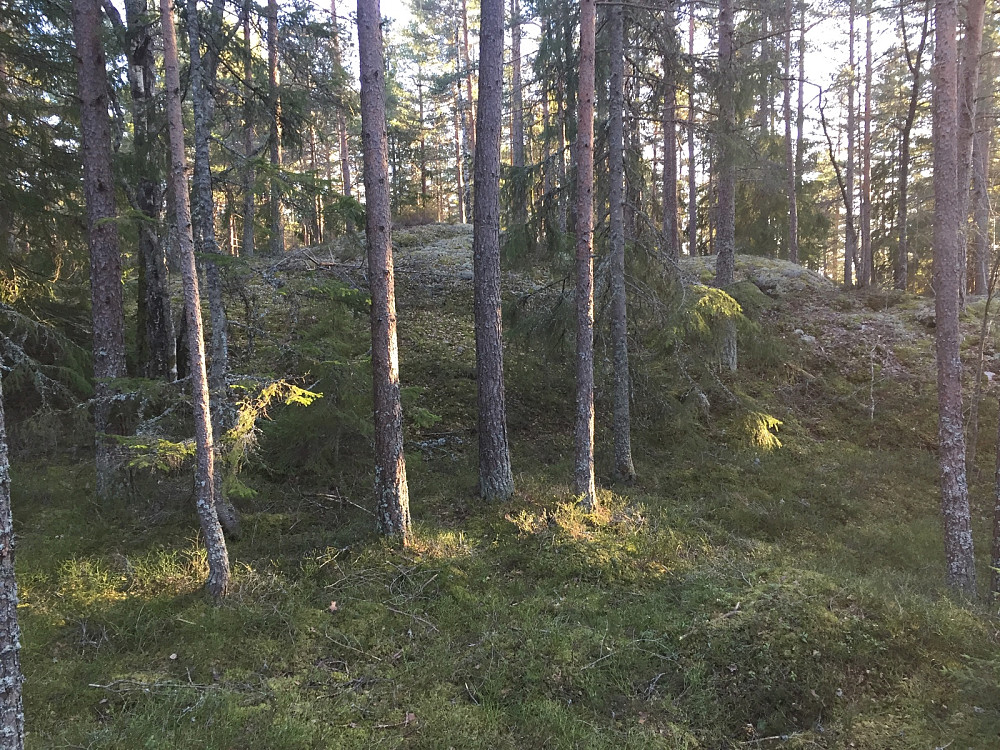Øst for Stubberudtjernet