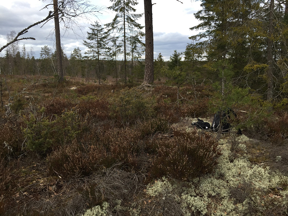 Øst for Holt