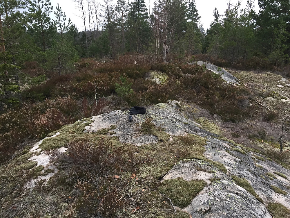 Sør for Hallangpollen