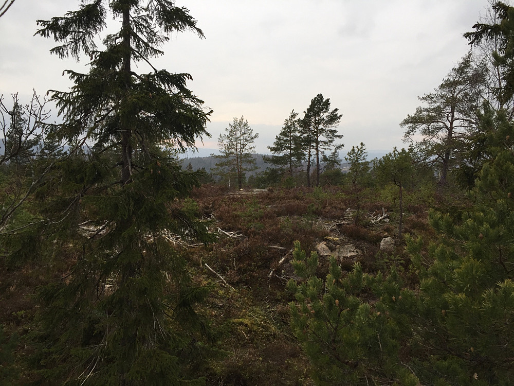 Liten utsikt fra toppen
