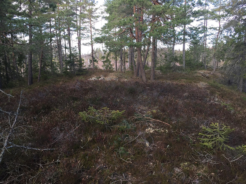 Eikebergåsen
