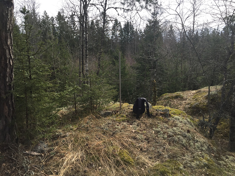 Stang på toppen