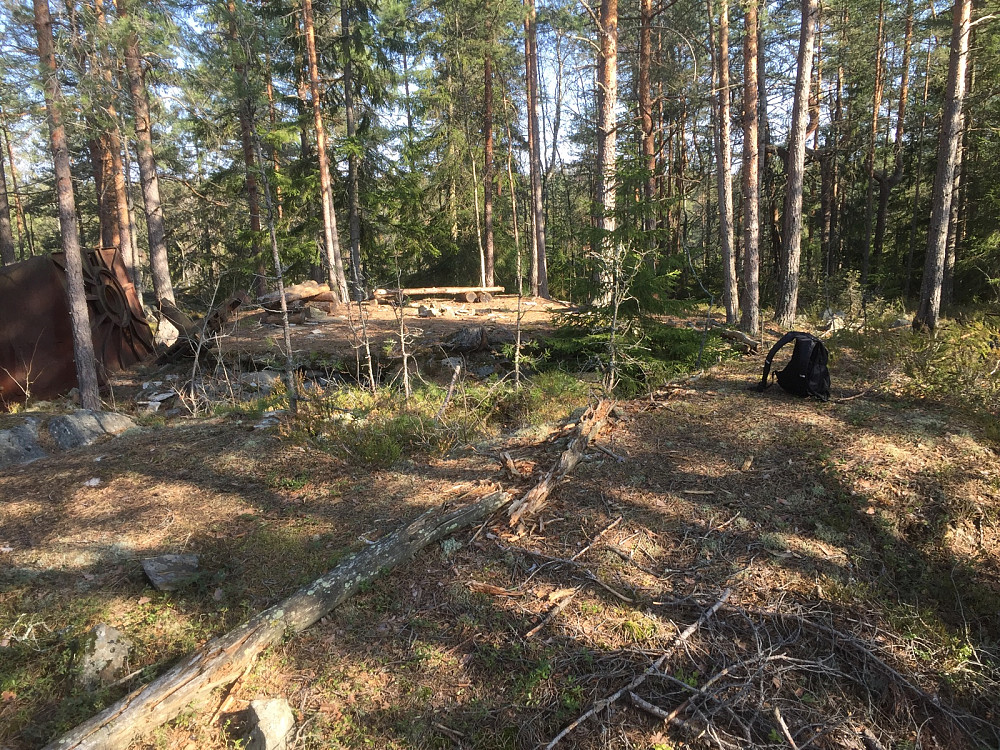 Saraåsen