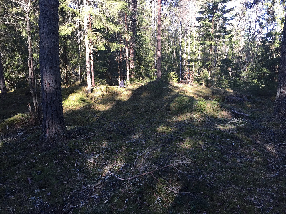 Haugbruåsen