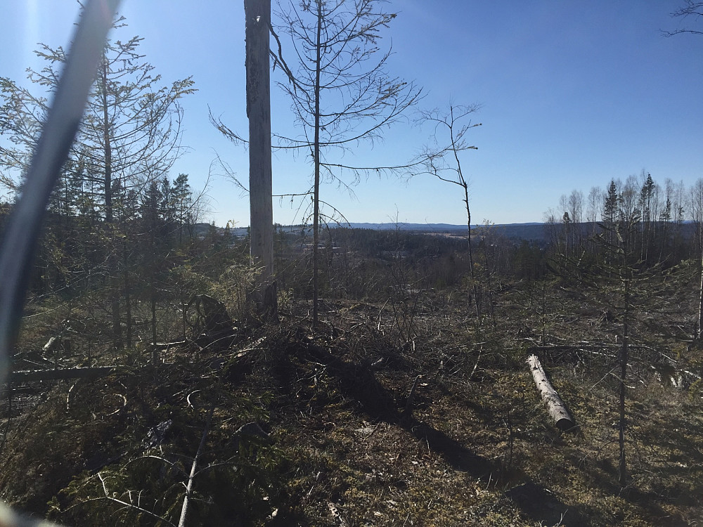 Flyflauåsen