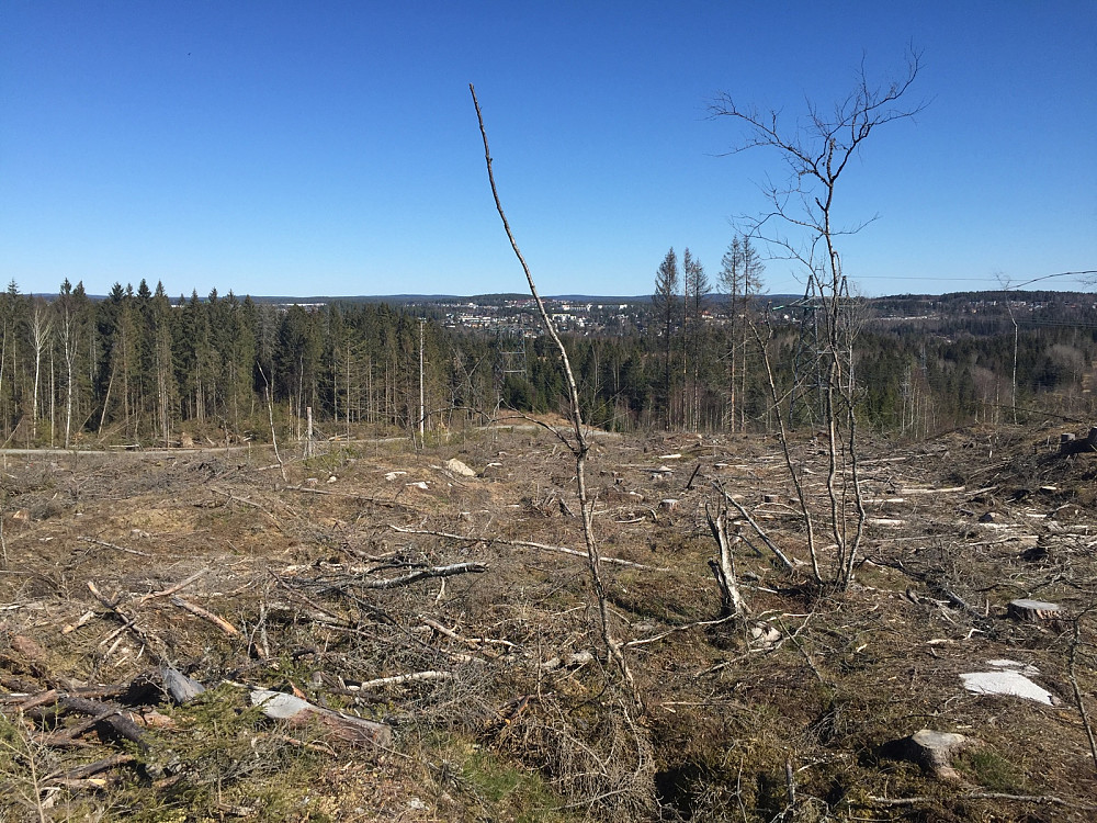 lFlyflauåsen