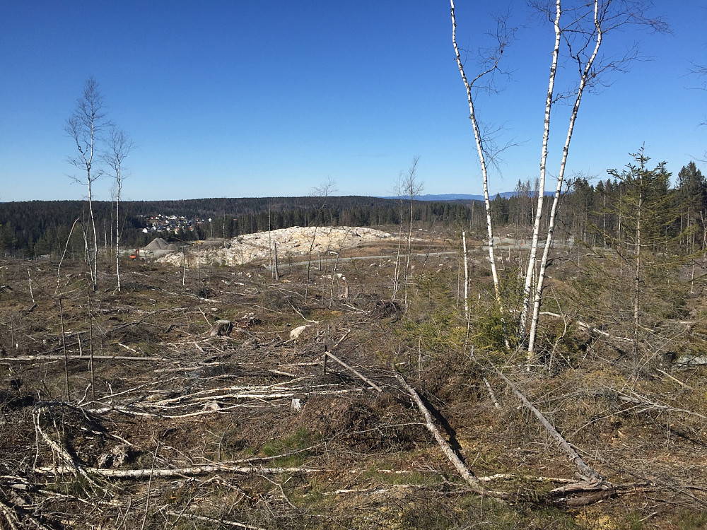 Flyflauåsen