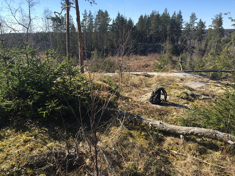 Østre Fålesloråsen