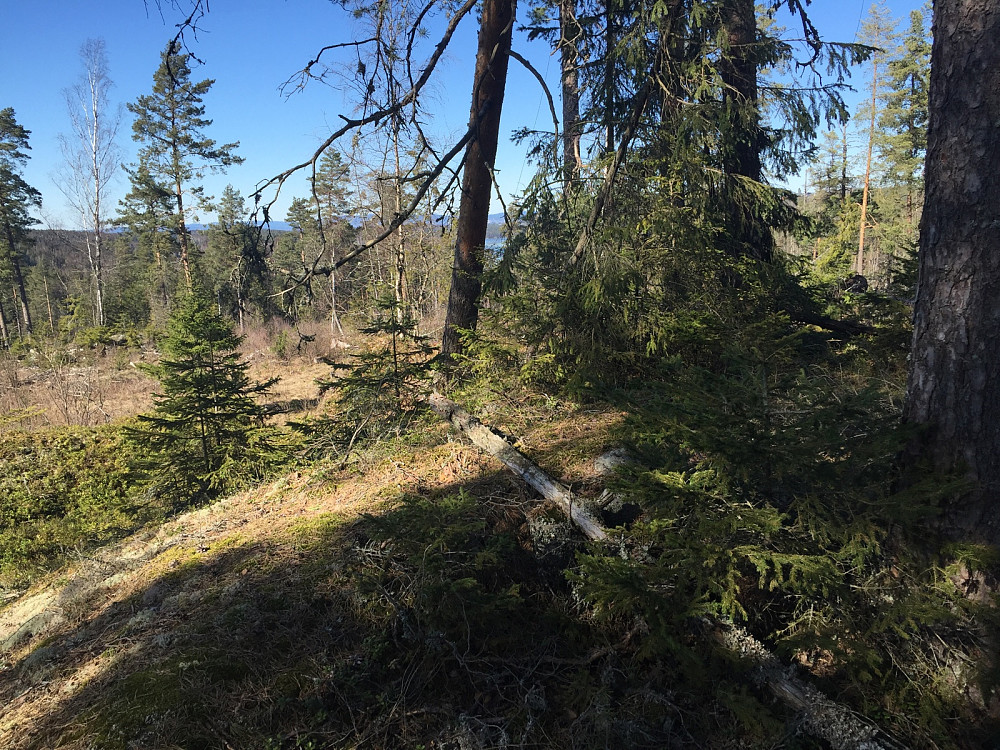Lauvåsen