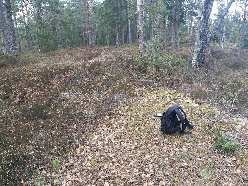 Bertelsmyråsen