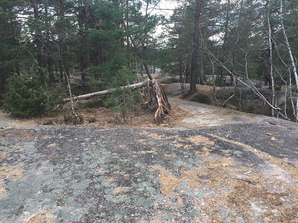 Gleinåsen