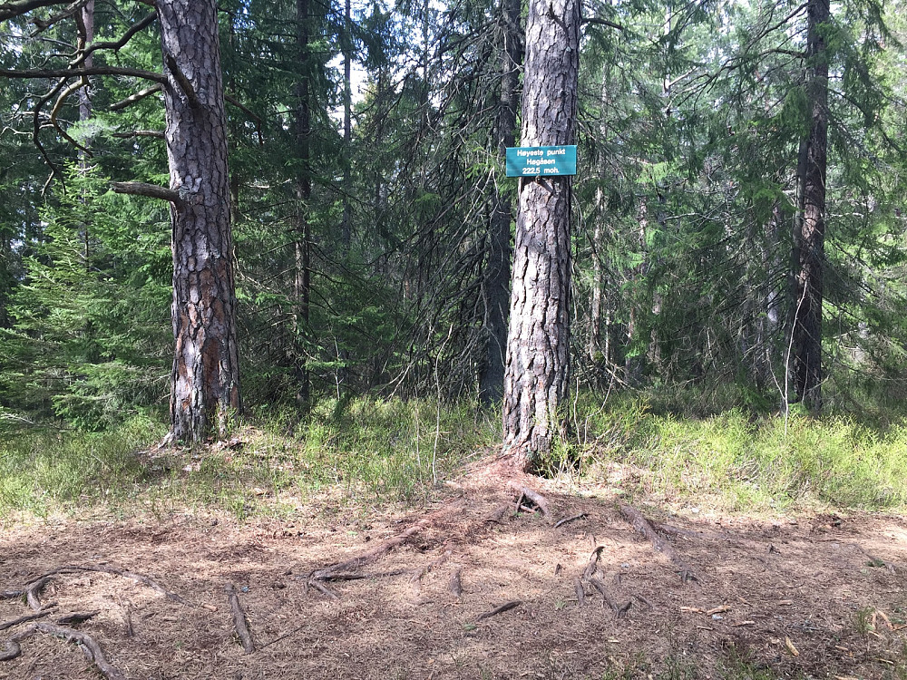 Høgåsen