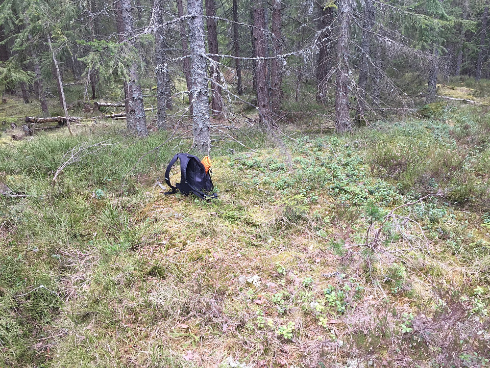 Bølstadåsen