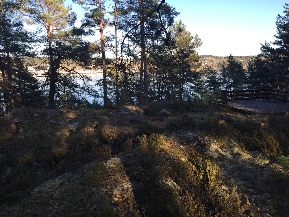 Lågøya