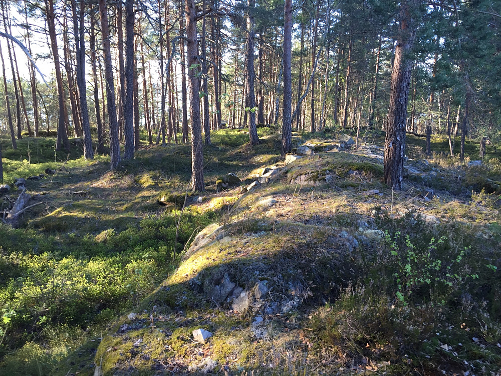 Lågøya
