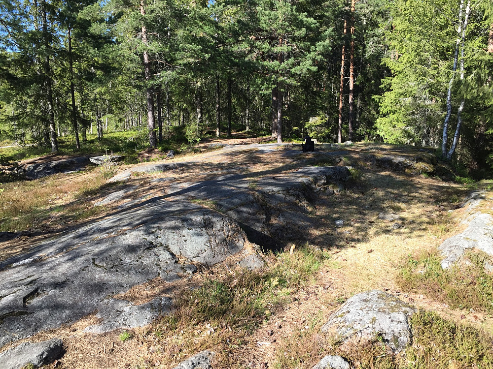 Sørliåsen