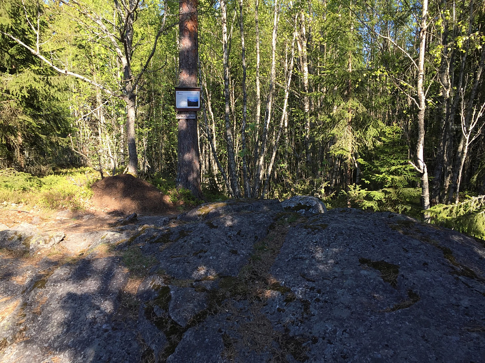 Vardåsen ved Nordby krk
