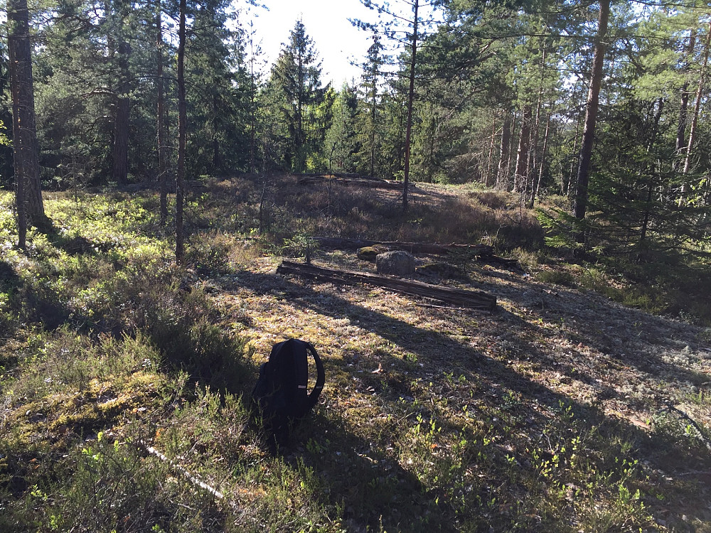 Furuåsen