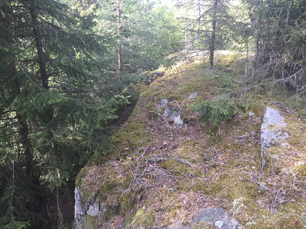 Sør for Støkken var en bratt fjelltopp midt i skogen