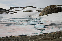 Osten_20200922_5f6a56741a8a2.jpg