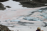 Osten_20200922_5f6a567fa58a0.jpg