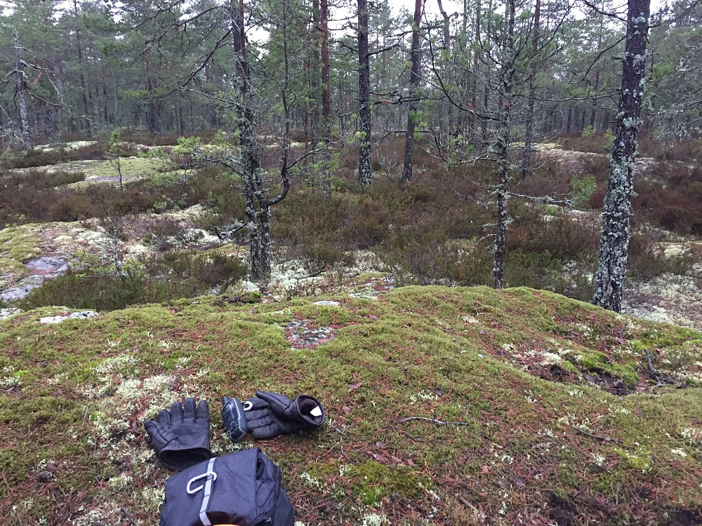 Kolbonnåsen