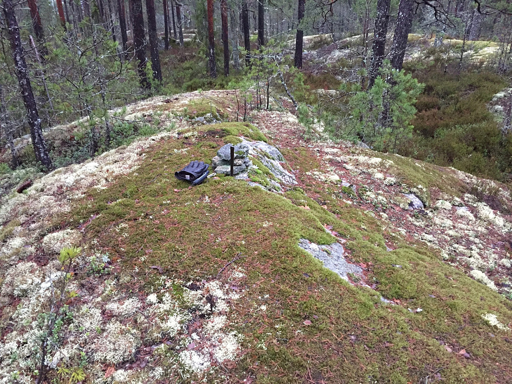Kolbonnåsen med bolten