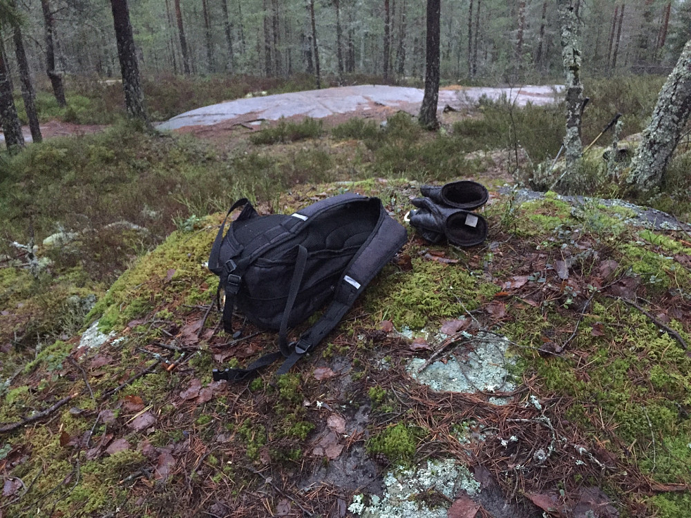 Lauvåsen