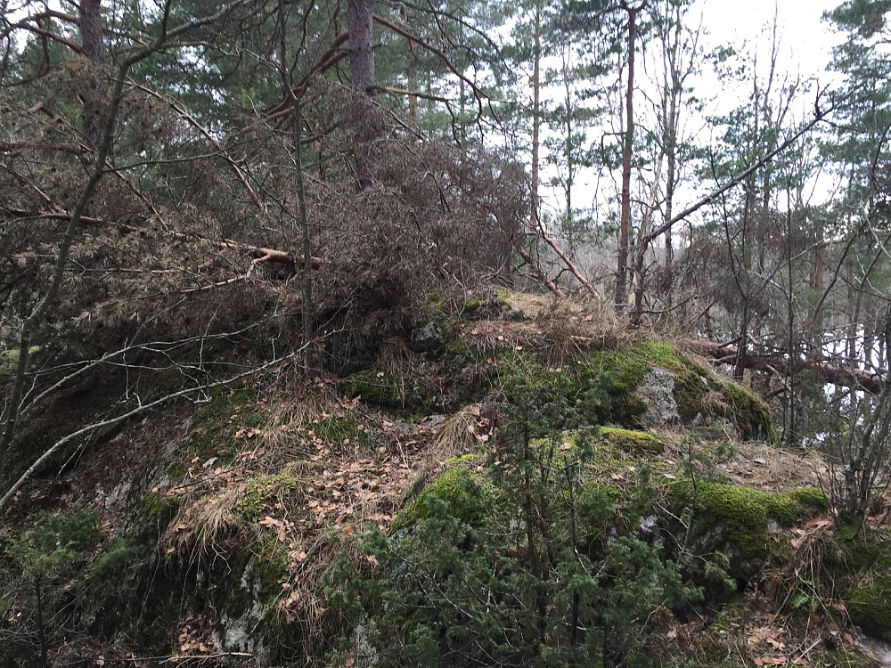 Øst for Bårsrudtjernet