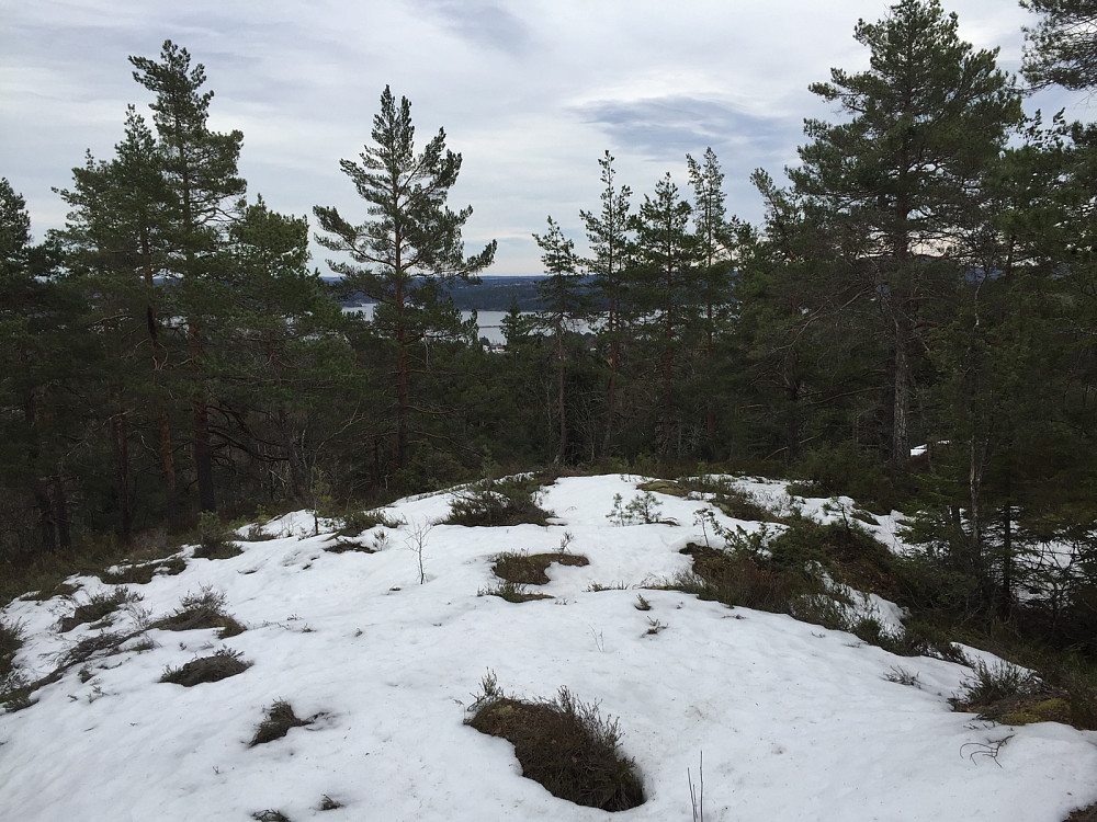 Utsikten fra Skiåsen