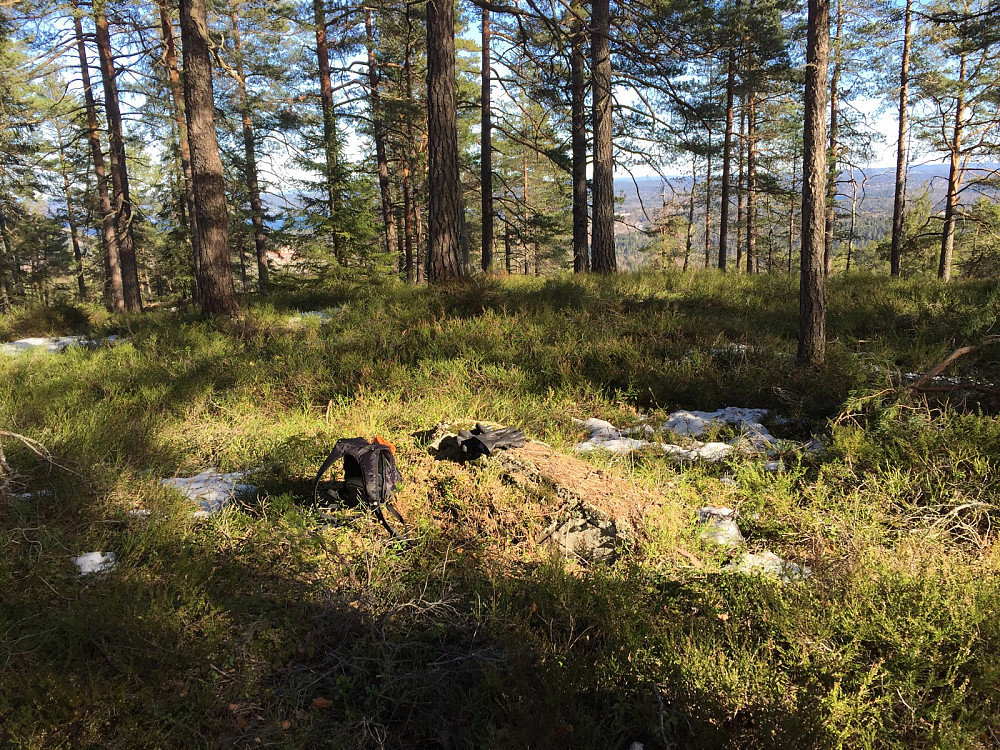 Røysåsen