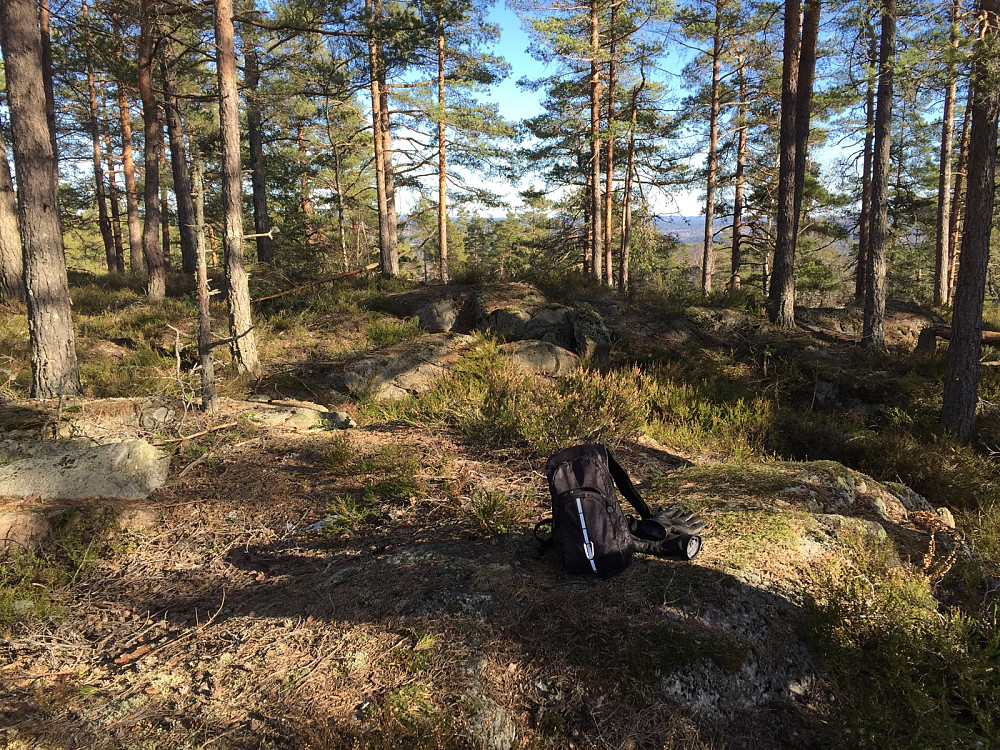 Elgskauåsen