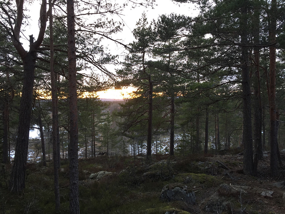 Saråsen