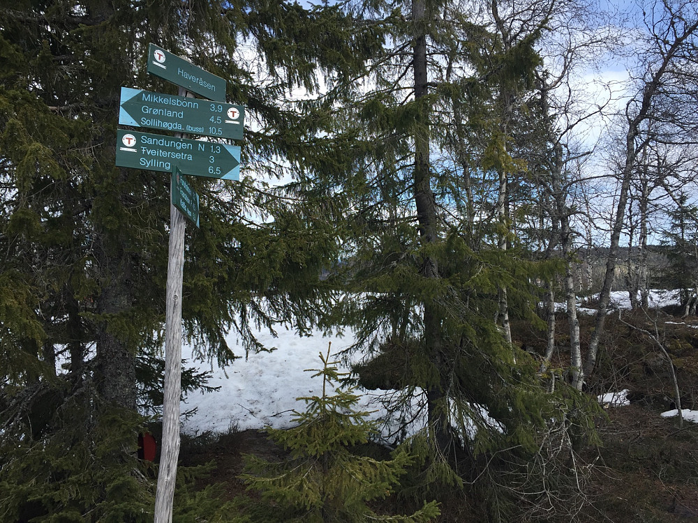 På toppen av Haveråsen