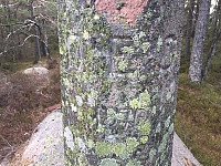 Osten_20210507_60957a10f41a1.jpg